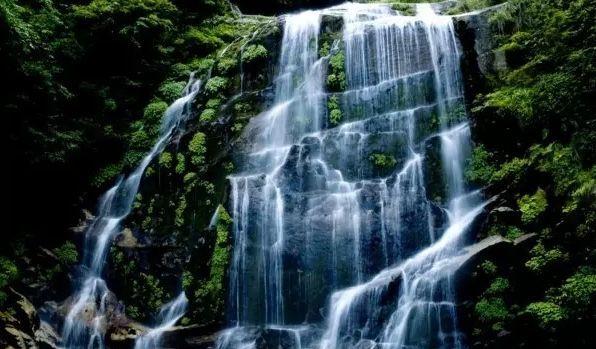 逃离水虎鱼湖